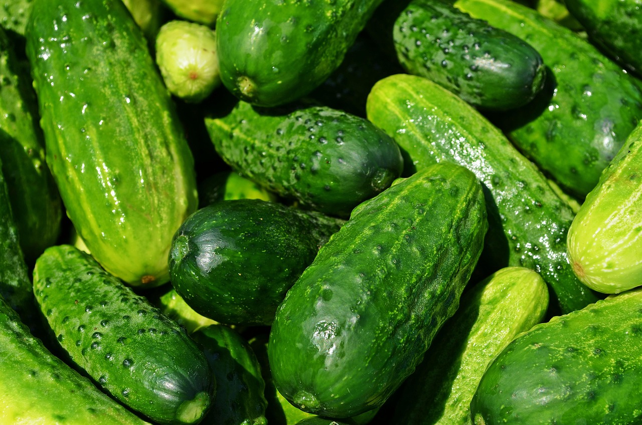水果黄瓜